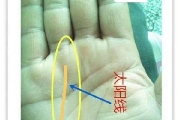 手相假断掌算命图解