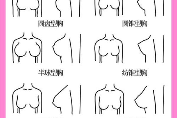八字胸型
