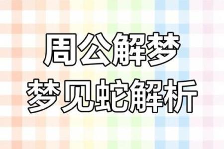 梦见房子风水不好有蛇