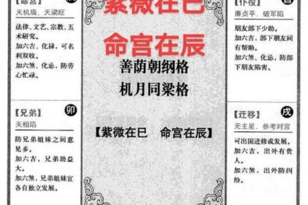 紫薇斗数文章