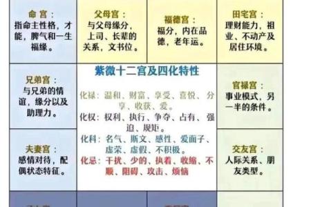 紫薇斗数太阳坐命宫