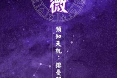 紫薇斗数突破天罗地网