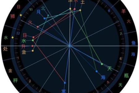 紫薇斗数金星