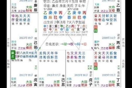 南辰紫薇斗数