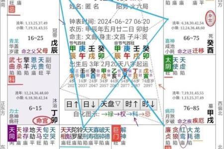美貌男紫薇斗数
