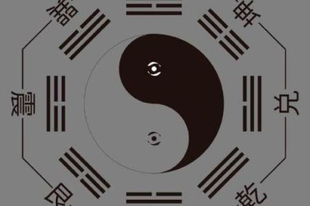 八字四金四土