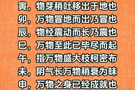 八字子午卯酉