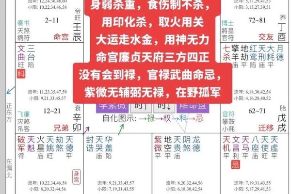 紫微斗数之活用斗数预测生活百事- 测事速断捷法 紫微斗数之活用斗数预测生活百事- 测事速断捷法