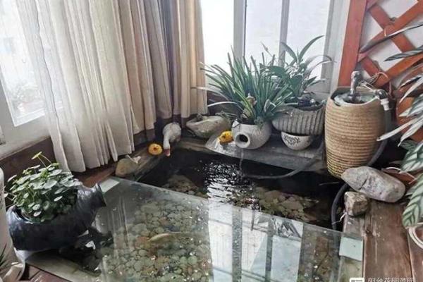 家庭鱼池风水 家庭鱼池风水摆放
