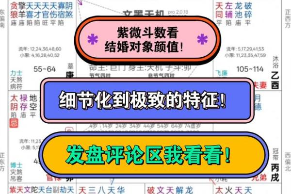 紫薇斗数视频合集