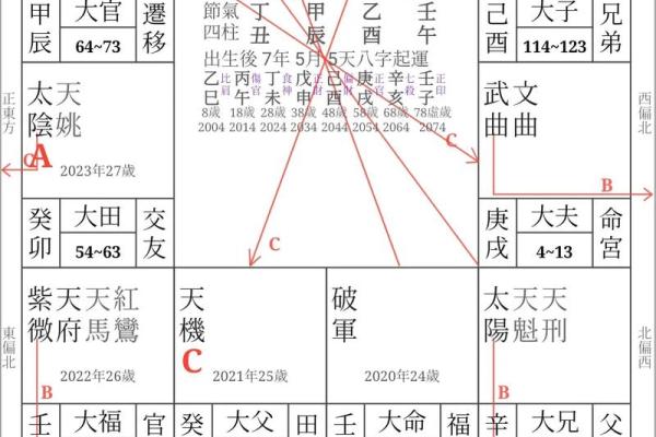 紫薇斗数四化与星组合