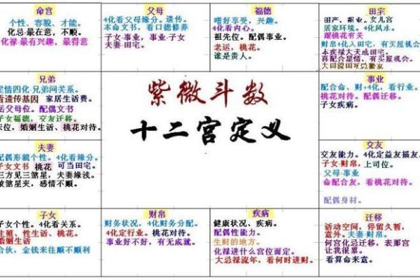免费紫薇星盘在线排盘