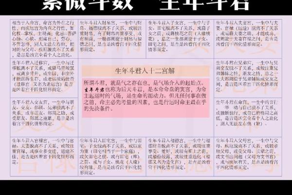 紫薇斗数看生孩子契机