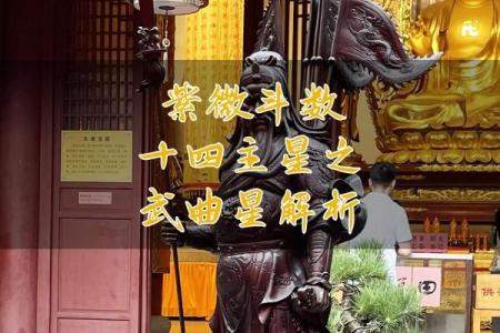 紫薇斗数夹主星
