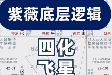 紫微斗数四化飞星在线排盘 紫薇斗数四化飞星？