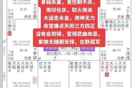 紫微斗数之活用斗数预测生活百事- 测事速断捷法