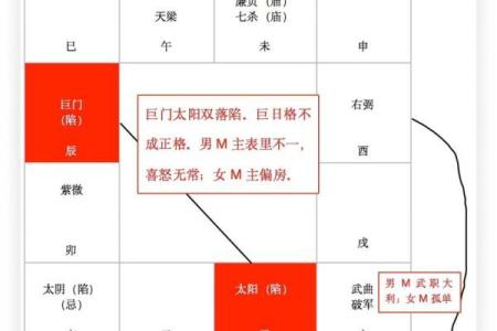 紫微斗数之子女宫与诸星，巨门星在子女宫是什么意思？