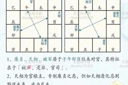 紫薇星盘命主破军