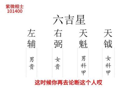 吉星紫薇斗数