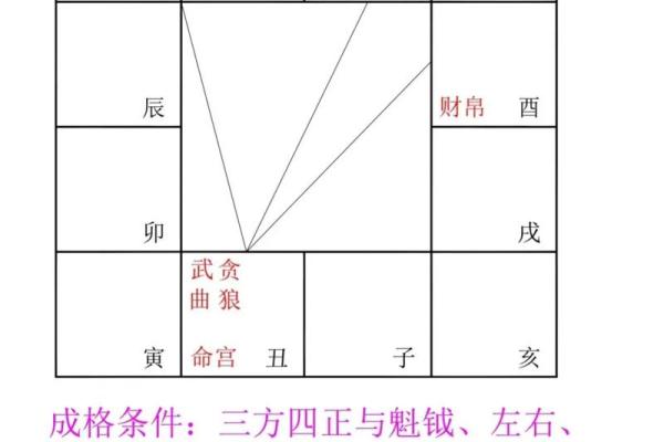 紫薇斗数反格