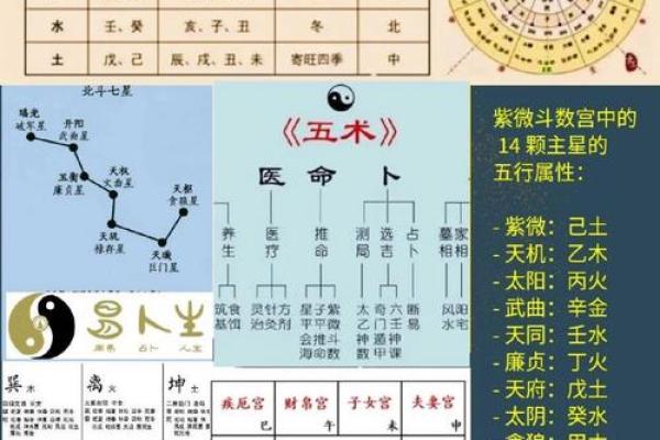 紫微斗数之预测灾厄：刑讼与牢狱之灾