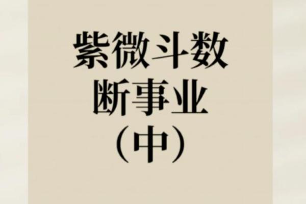 黄老师紫薇斗数