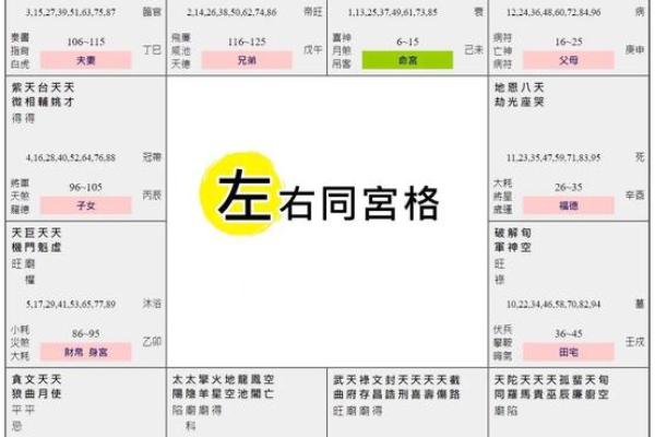 紫微斗数诸星落诸宫之:其它星(为独守时用,当与正星同宫时 紫微斗数诸星落诸宫之:其它星(为独守时用,当与正星同宫时
