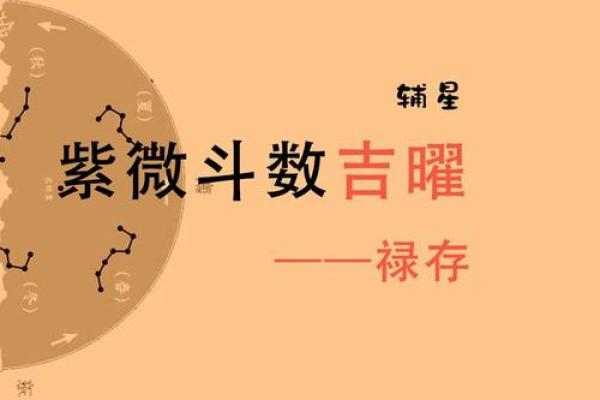紫薇斗数男人禄存