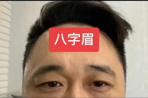 什么是八字眉