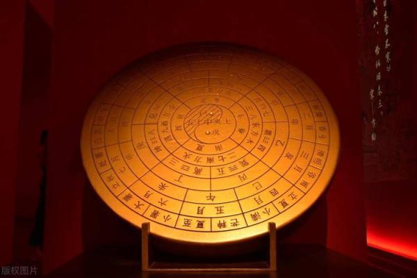八字动星