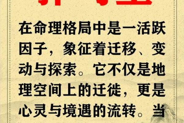 八字动星
