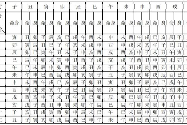 紫薇斗数排盘易安