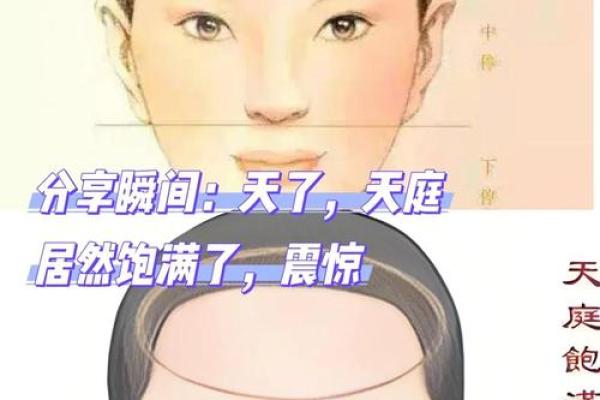 面相图解-弓丧眉算命及性格特征