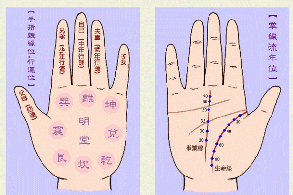 怎么算命用手就行
