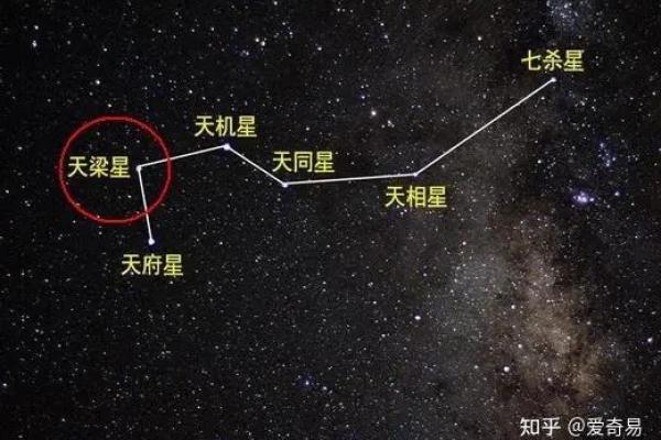 紫微斗数排盘天梁星化权是什么意思？