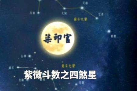 紫薇斗数迁移宫看什么