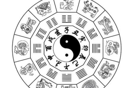 子由紫薇斗数