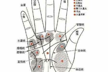 手相算命之十大手相富贵纹