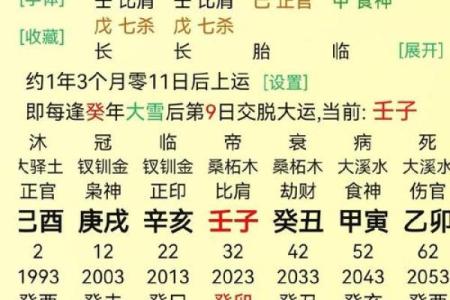 丁酉辛亥丙戍己亥八字命运