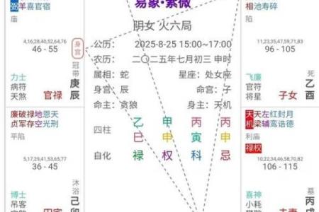 紫微斗数命盘12个宫位