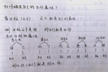 八字当官标志解析：如何从八字中看职业与财富分析！