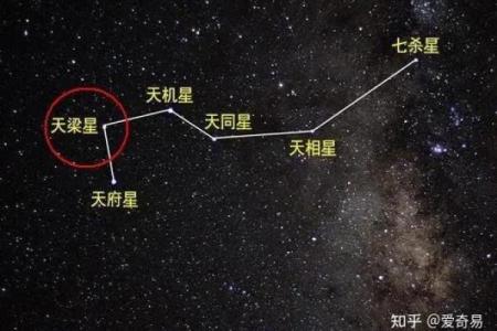 紫微斗数排盘天梁星化权是什么意思？