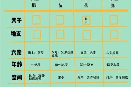 八字称重怎么算？八字称重计算方法详解
