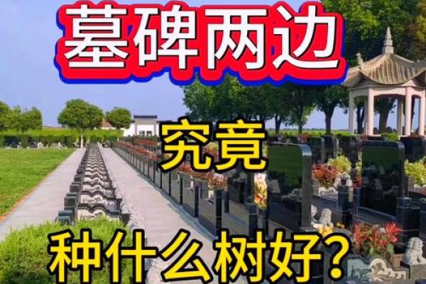 墓地风水的坐向有什么讲究须知