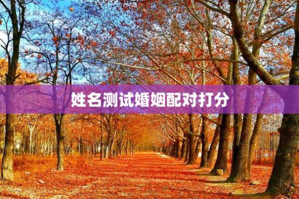 姓名配对测姻缘有用吗 姓名配对测试婚姻缘分长久？