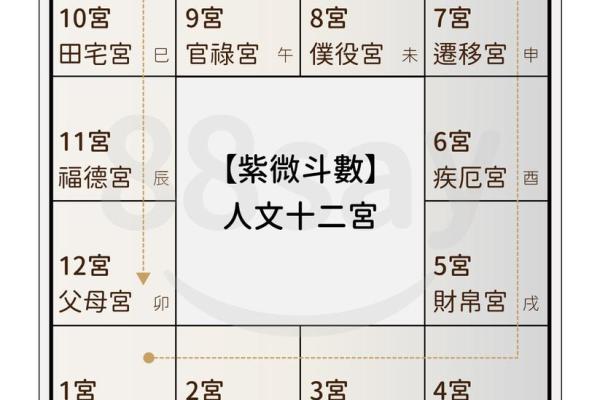 紫薇斗数怎么看财运