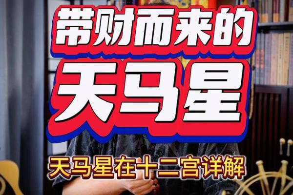 紫薇斗数天马位置不一样