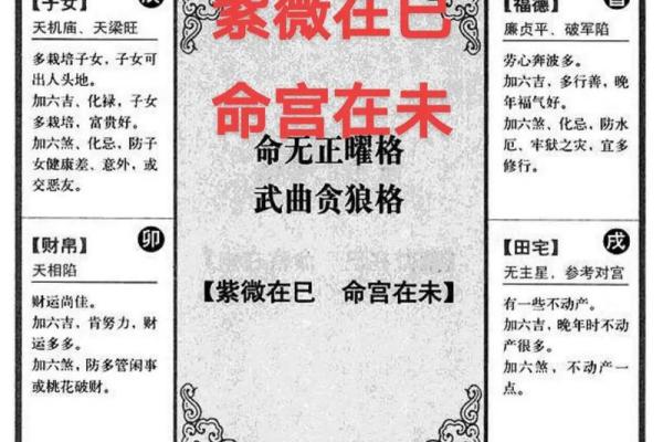 紫薇斗数命宫绝