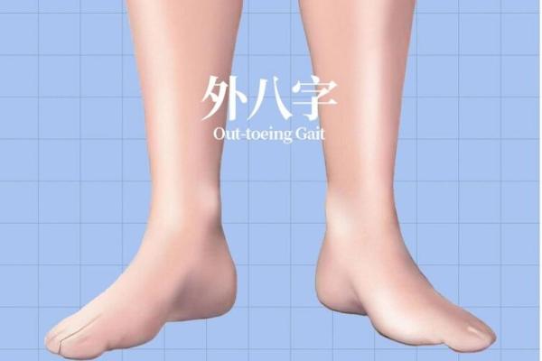 外八字轮