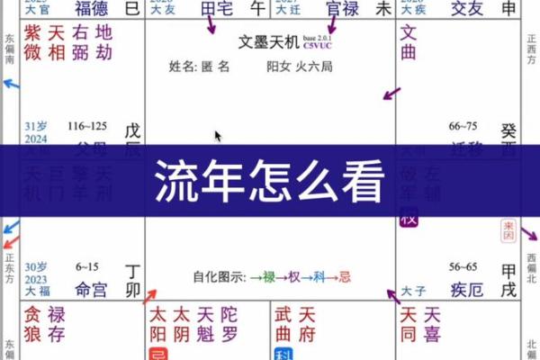 紫薇斗数怎么看工作